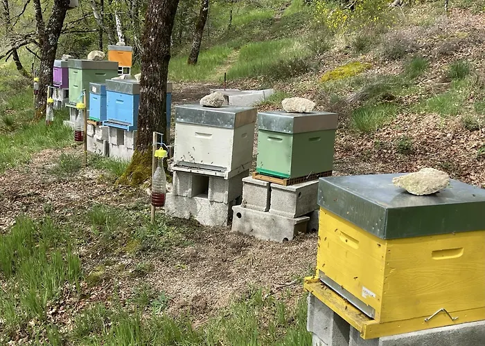 Loulapi Semesterbostad *